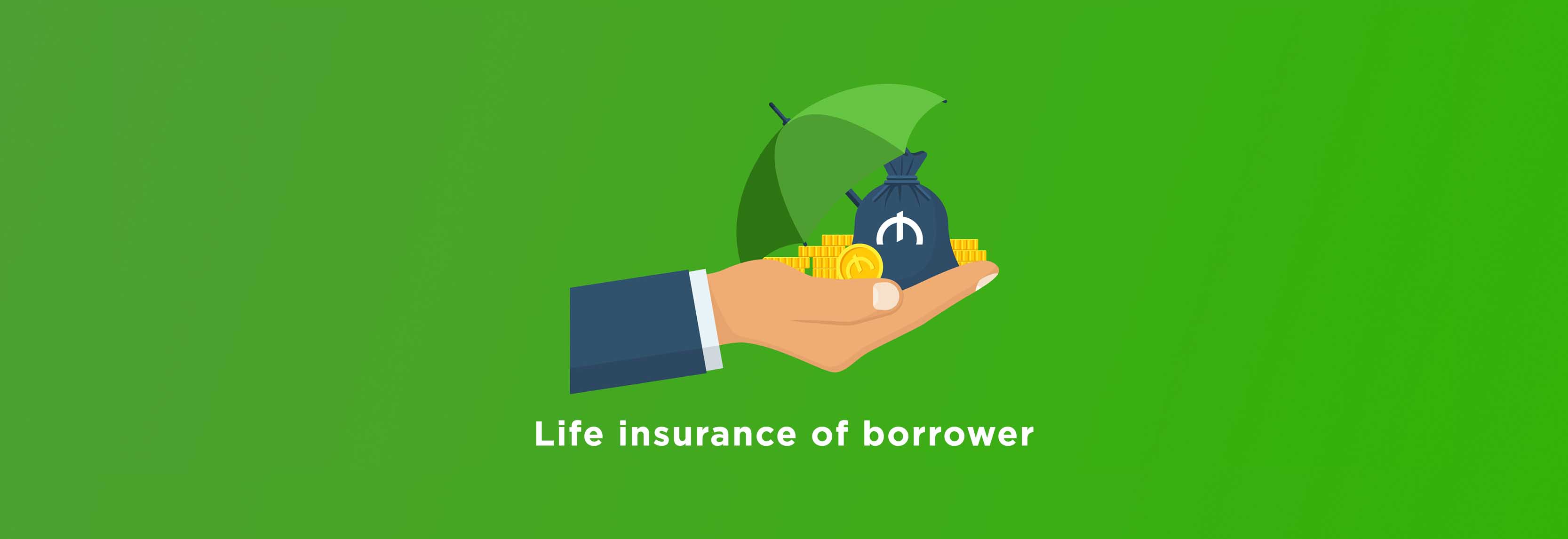 LIFE INSURANCE OF BORROWER